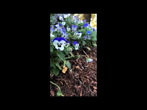 {FREE} Rich The Kid X Takeoff X Future type beat "Elevate" 2019