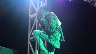 Newosqie LIVE @Philosofair UI (19/10/18)