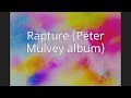 Rapture (Peter Mulvey album)
