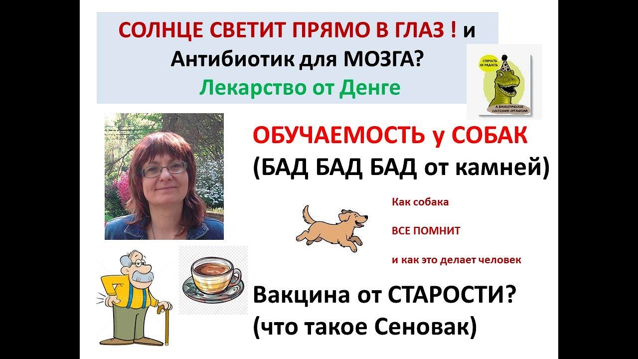 Антибиотик для МОЗГА? лечим Денге и камни Бадами?