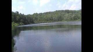 preview picture of video 'Basswood Pond State Forest'