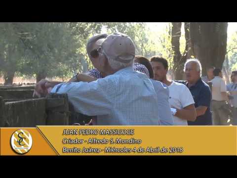 04-04-18 Nota Juan Pedro Massigoge - Alfredo S. Mondino "Rusticos del destete" - Benito Juarez