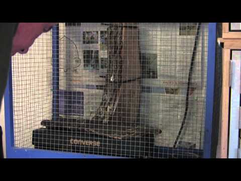 De Natuurdokter 3: Wezels