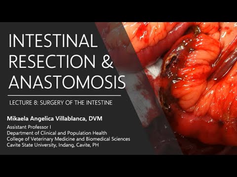 Lecture 8.3 Intestinal Resection and Anastomosis