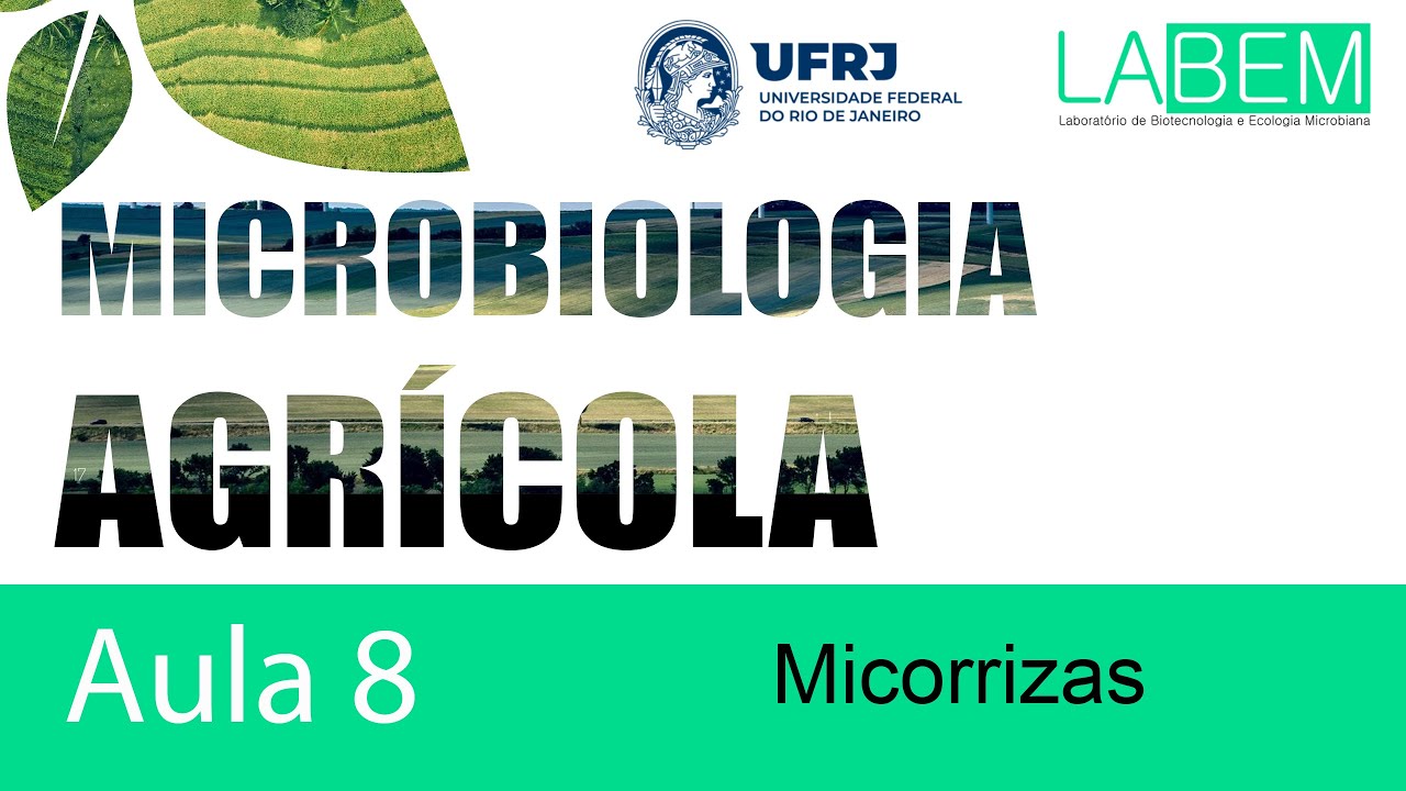 Aula 8 - Micorrizas - Prof Caio Rachid