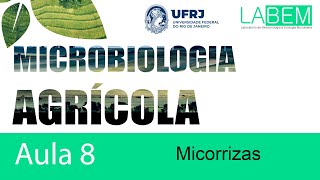 Aula 8 - Micorrizas - Prof Caio Rachid