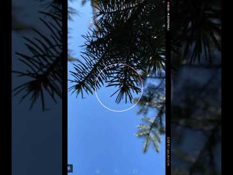 Diss na disco polo trailer