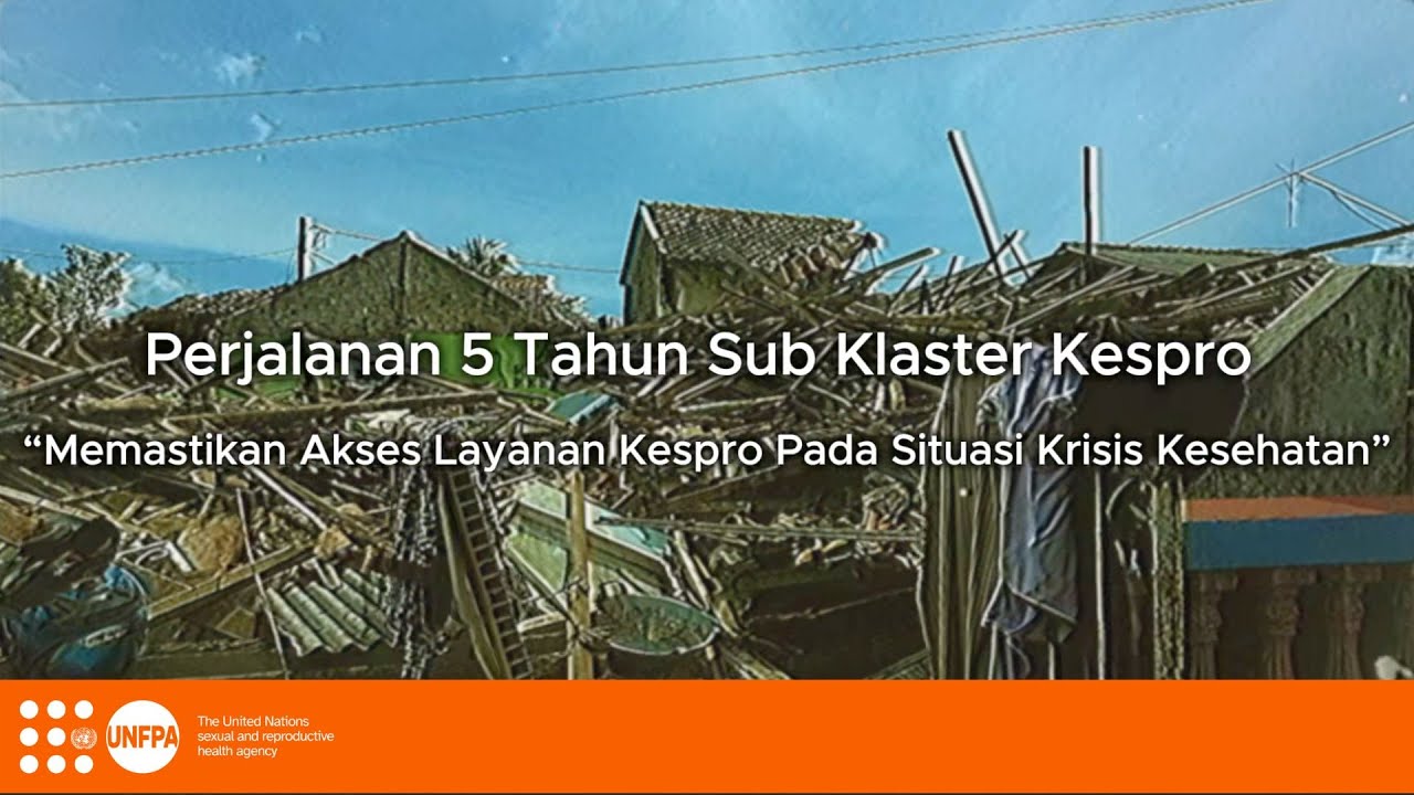 Five-Year Journey of the Reproductive Health Subcluster in Indonesia