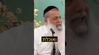 אתה יכול להביא את המשיח (ארגון ענפים) - התמונה מוצגת ישירות מתוך אתר האינטרנט יוטיוב. זכויות היוצרים בתמונה שייכות ליוצרה. קישור קרדיט למקור התוכן נמצא בתוך דף הסרטון