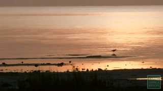 Matagorda Bay - Postcard From Texas