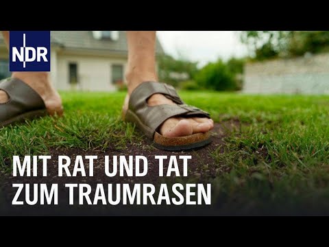 Rasenpflege mit dem "Rasenfuchs" aus MV | Die Nordreportage | NDR Doku