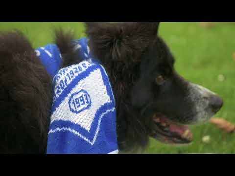VELTINS HEIMSPIEL 2018 - Casting SC Borussia Kaster Königshoven 1920/1926 e.V.