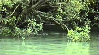 Harro & Big Barra Trailer