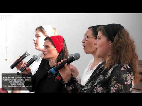 Grup Surori Betel Sighet - Cuiele nu te-au tinut pe cruce | Dragostea Ta