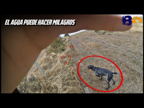 Lo que nos trajo 𝗹𝗮 𝘁𝗼𝗿𝗺𝗲𝗻𝘁𝗮 ✨¿𝓼𝓲𝓷 𝓮𝓵𝓵𝓪 𝓱𝓪𝓫𝓻𝓲𝓪 𝓼𝓲𝓭𝓸 𝓲𝓰𝓾𝓪𝓵?✨