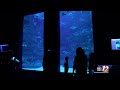 Aquarium Stores In Winston Salem Nc