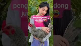 Download lagu cewe cantik thailand pegang ayam #shorts #ayam mp3