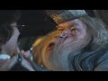 HARRY DID YOU PUT YOUR NAME IN THE GOBLET OF FIRE