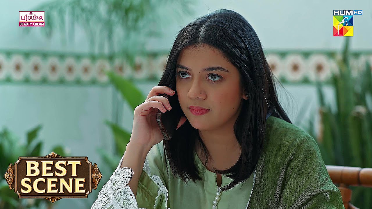 Judwaa - Ep 45 - Must-Watch Clip - #ainaasif #adnanrazamir - HUM TV