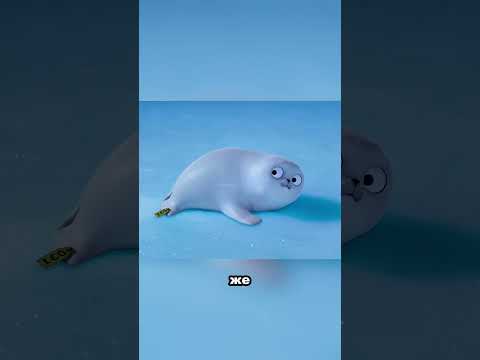 История одного неуклюжего тюленя#shorts