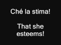 Portal 2 Cara Mia Addio Lyrics 