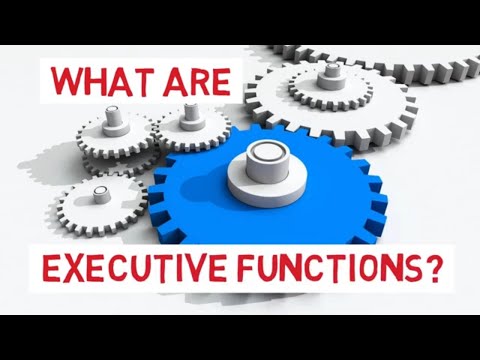 What are Executive Functions in Autism?