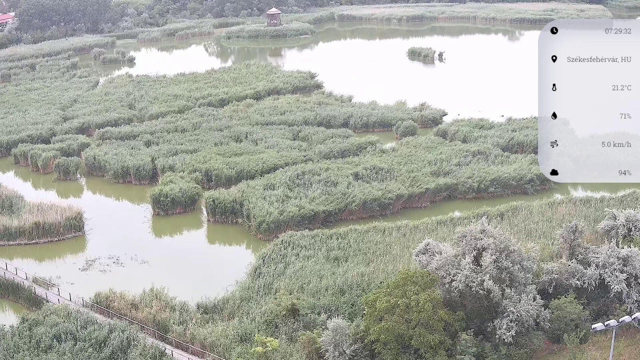 Live webcam view of Sóstó Wetland Observation Tower