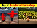 The Best of Accidental Camouflage Pics