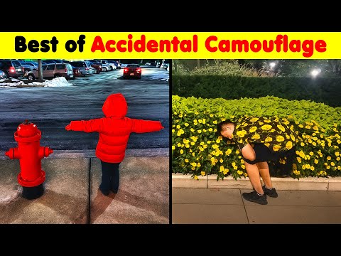 The Best of Accidental Camouflage Pics
