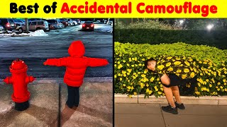 The Best of Accidental Camouflage Pics