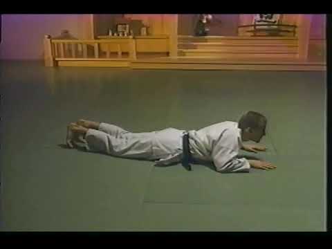 Japanese Martial Arts: Irimi Iriminage Hiroshi Ikeda
