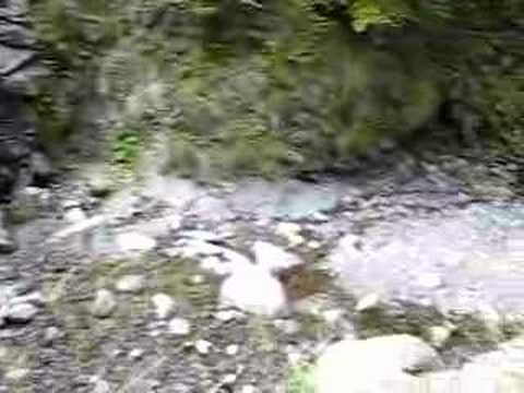 Cascada Lotrisor Romania