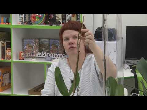 2025 11 27 Во саду и в огороде