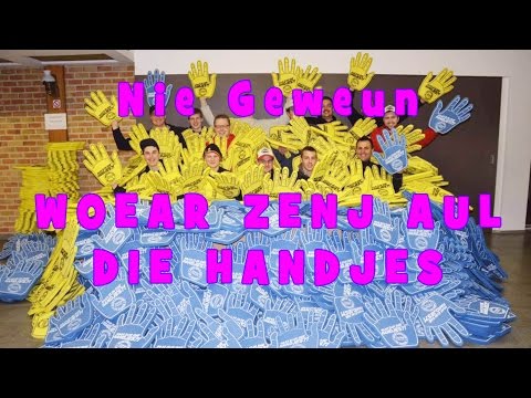 Carnaval Ninove 2016 - Nie Geweun -Woear zenj aul die handjes