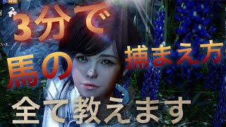【黒い砂漠モバイル】#4 馬の基本の捕まえ方は必ずマスターしとくべき。【黒サバ】【りっぷらいんch】