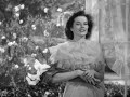 Stage Door 1934 Terry Performs In Honor Of Kay