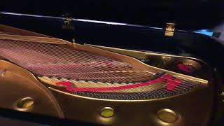 DOUG MONTGOMERY-“Somewhere Over The Rainbow “