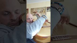 ❤️In love❤️with my new Camillo Perrella Guitar #flaviosala