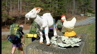 David Wilcox - We Make The Way By Walking (Official Video)