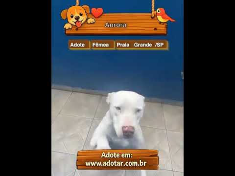 Vídeo de Aurora