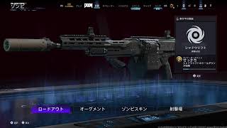 サブ垢　ソロゾンビ