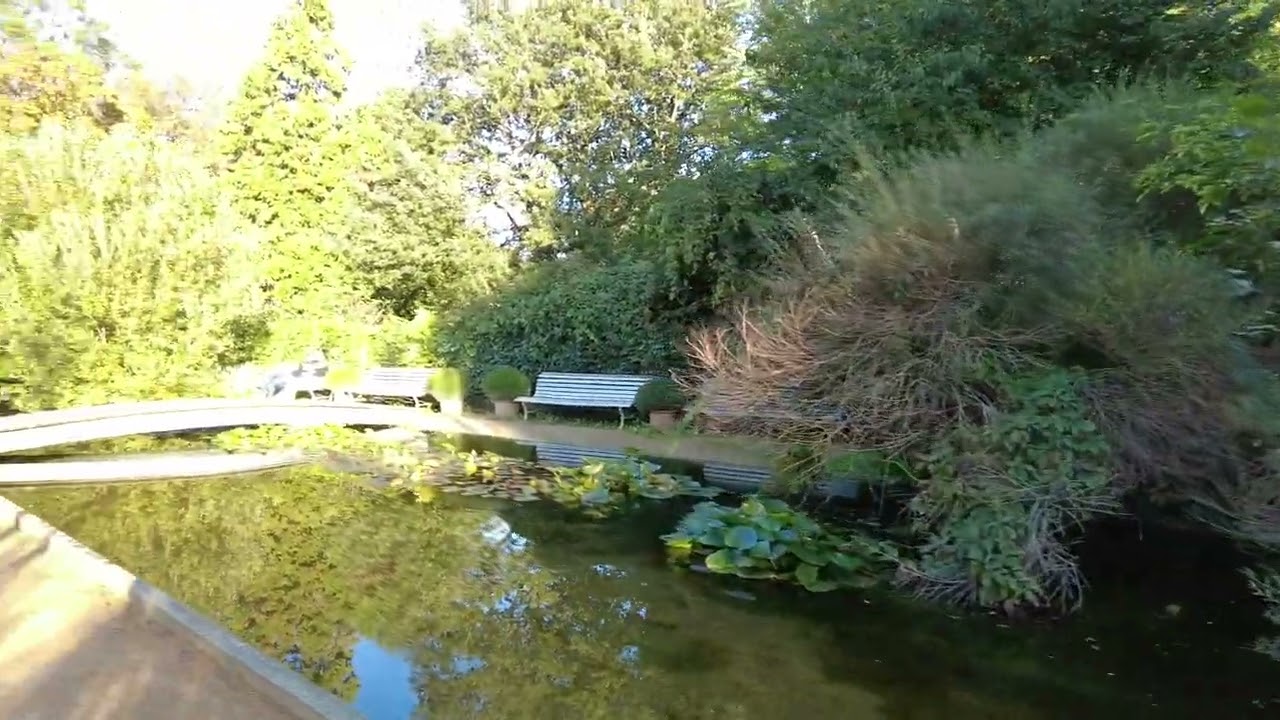 Embark on a walking tour of Petit-Saconnex Park.