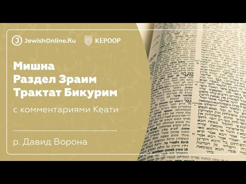 Мишна 6