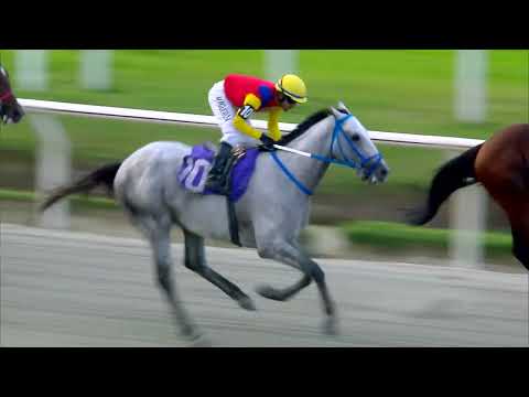 220417 c09 A.P. DINAMICO