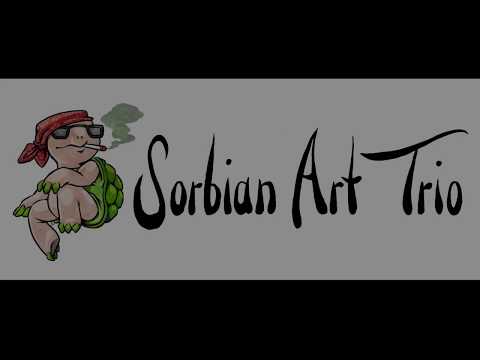 Schadzowanka 2017 *** 17 wabjenje Sorbian Art Trio a kumple
