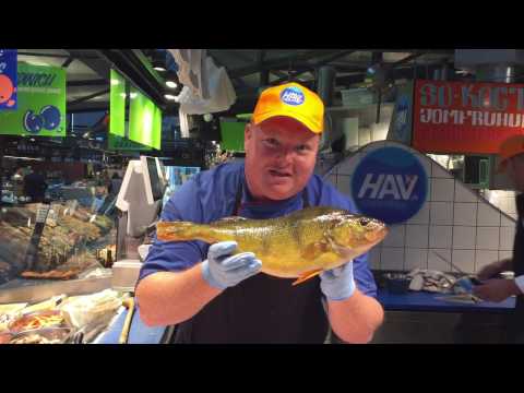 Dansk fisk: Aborre