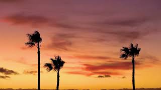 CAMEL כמיהת לב-סיום