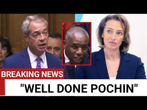 Nigel farage SIDES with Sarah pochin After she RESPONSES David lammy