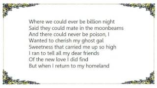 Avey Tare - Ghost of Books Lyrics