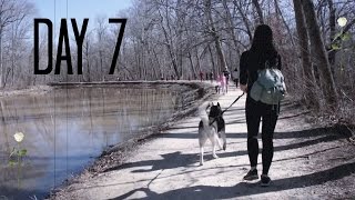 DAY 7 | More dogs, More food & More Meditation!